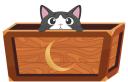 Discovery splash banner for Mooney Bin Discord server