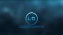 Discovery splash banner for LiQuid Gaming Discord server