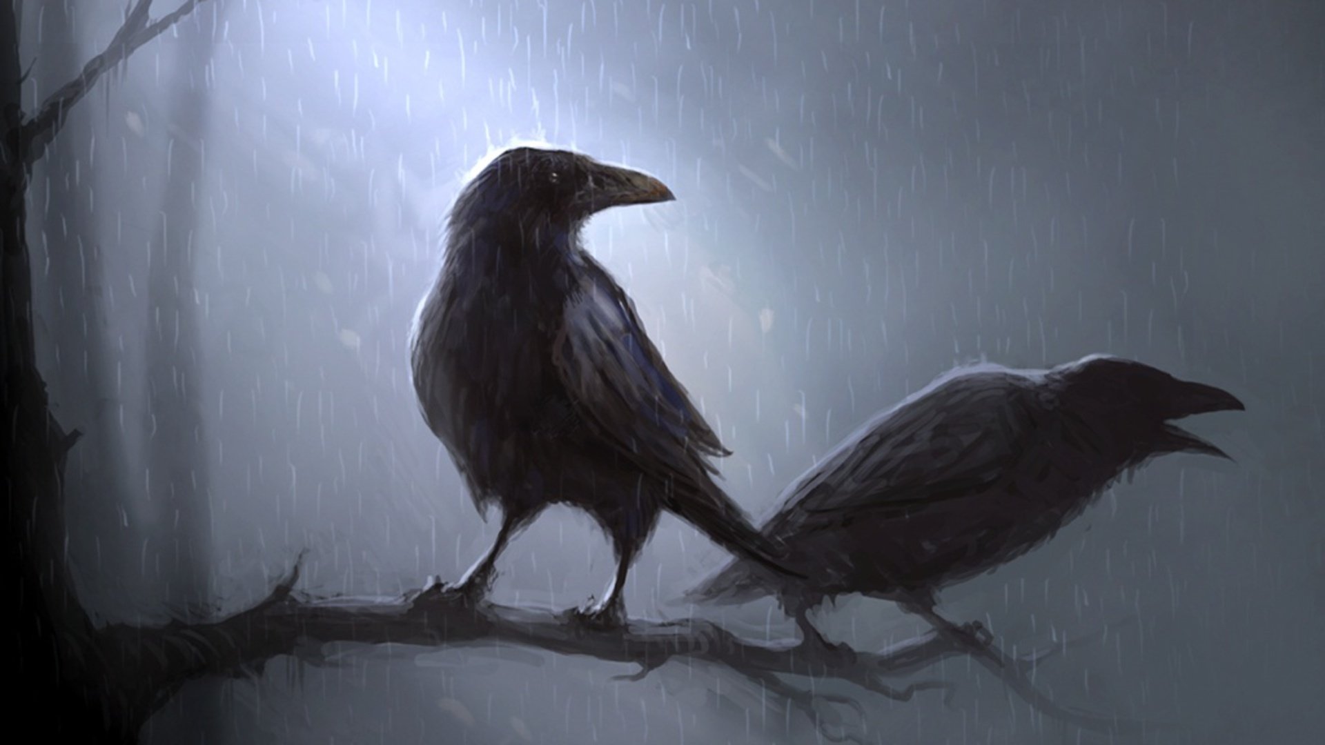 Discovery splash banner for ζ͜͡Crow Bots Discord server