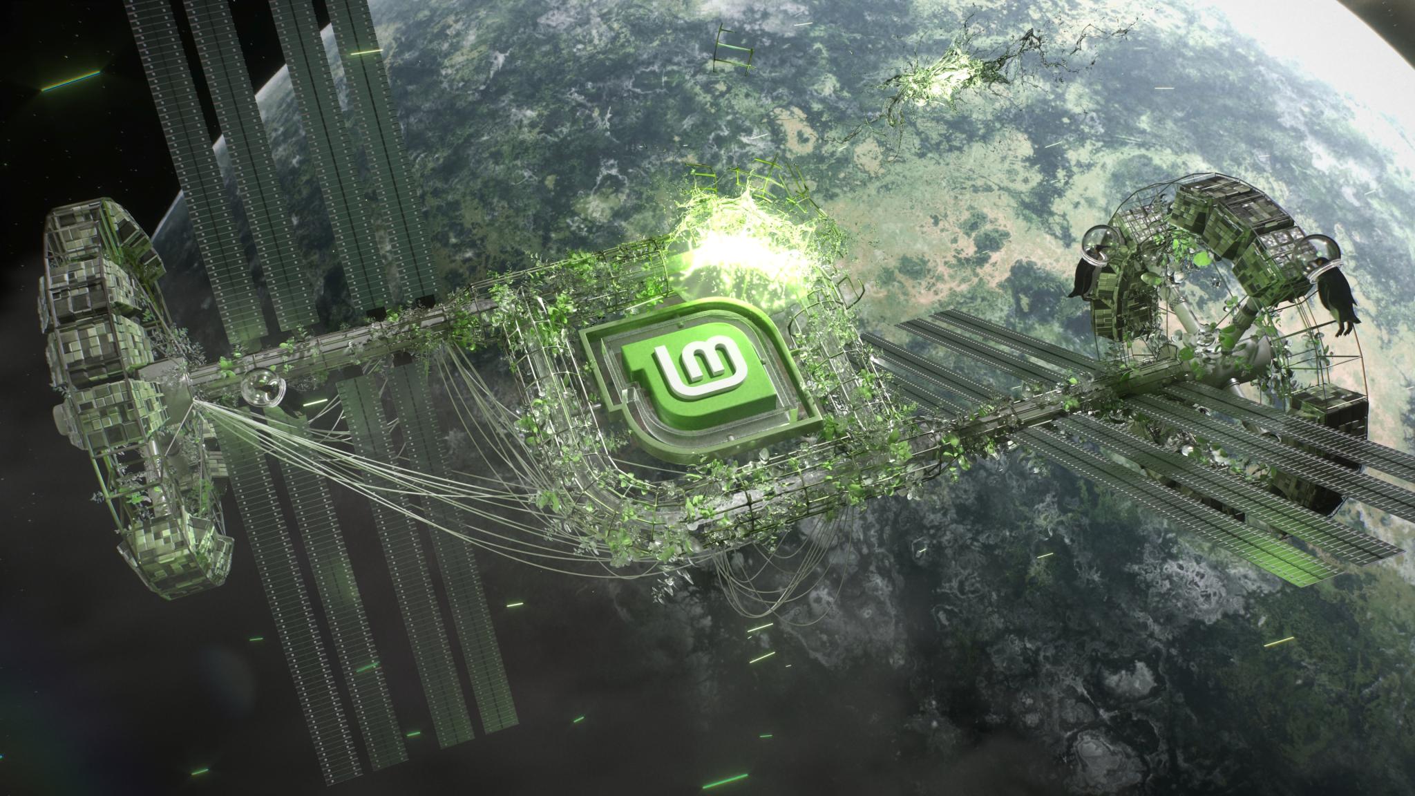 Discovery splash banner for Linux Mint Community🍵 Discord server
