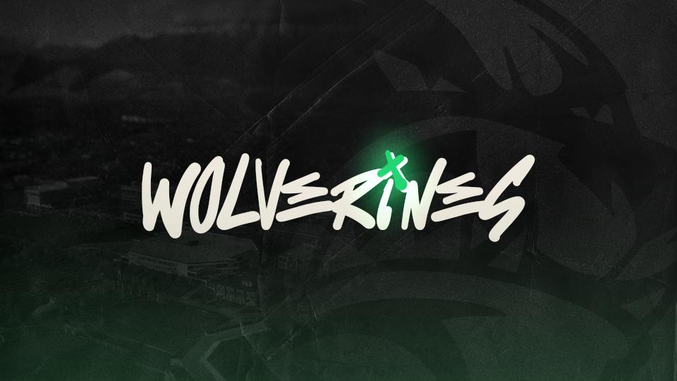 Discovery splash banner for Utah Valley Esports & Gaming Den Discord server