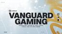 Discovery splash banner for Vanguard Gaming Discord server