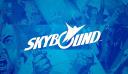 Discovery splash banner for Skybound Discord server