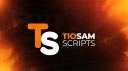 Discovery splash banner for TioSam Scripts Discord server