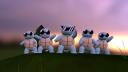 Discovery splash banner for PokeCafé Discord server