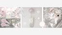 Discovery splash banner for 🍥 、 meiko ⟡ guilds ⟡ gws ⟡ social ⟡ active ⟡ decor Discord server