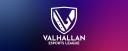 Discovery splash banner for VHEL Discord server