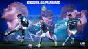 Discovery splash banner for Palmeiras Discord server