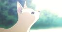 Discovery splash banner for Cat Kingdom ★ Discord server