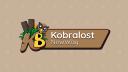 Discovery splash banner for Kobralost NewWay Discord server