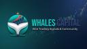 Discovery splash banner for Whales Capital Discord server