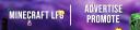Discovery splash banner for Minecraft LFG • Advertise • Promote Discord server