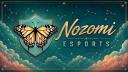 Discovery splash banner for Nozomi Esports Discord server