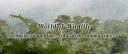 Discovery splash banner for World of Wildlife š² Discord server