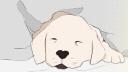 Discovery splash banner for Doggo Paradise Discord server