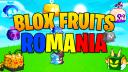 Discovery splash banner for Blox Fruits Romania Discord server