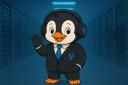 Discovery splash banner for VelocityHost - DDoS Protection Discord server