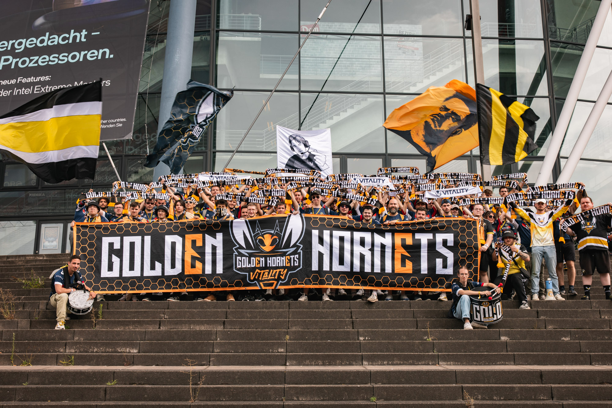 Discovery splash banner for Golden Hornets Discord server