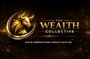 Discovery splash banner for The Wealth Collective Discord server