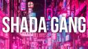 Discovery splash banner for Shada Gang | Kaysha Discord server