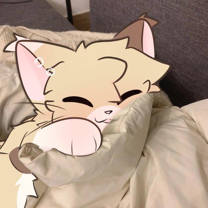 Discovery splash banner for Furry Limbo Discord server