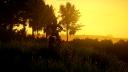 Discovery splash banner for MX Bikes France #MXF Discord server