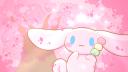 Discovery splash banner for Algerian Girlies House Discord server