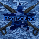 Discovery icon for Pro squad Discord server
