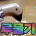 Discovery icon for π 루λκΈ° μλ² Discord server
