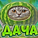 Discovery icon for 🥥 〡Дача Зейна〡🌴 Discord server