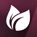 Discovery icon for Exeter Primary School | VC Discord server