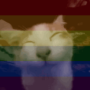Discovery icon for P(ink)astebins+ Discord server