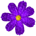 Discovery icon for ❀ 𝒯𝒽𝑒 𝐹𝓁𝑜𝓌𝑒𝓇 𝒱𝑒𝓇𝒶𝓃𝒹𝒶 ❀ Discord server