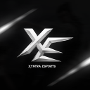 Discovery icon for XYNTRA ESPORTS 🇮🇳 Discord server