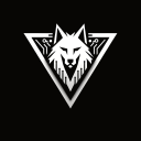 Discovery icon for BORZ NOXUS CLAN Discord server