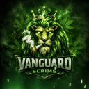 Discovery icon for VANGUARD SCRIMS Discord server