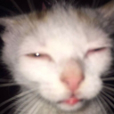 Discovery icon for MALLU LOUNGE™ Discord server