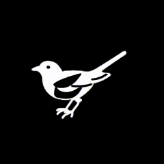 Discovery icon for Newcastle United Discord server