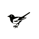 Discovery icon for Newcastle United Discord server