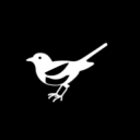 Discovery icon for Newcastle United Official Discord server