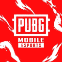 Discovery icon for Esports PUBG MOBILE MEA Discord server
