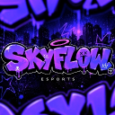 Discovery icon for SKYFLOW ESPORTS Discord server