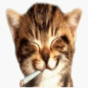 Discovery icon for Undercover Online Discord server