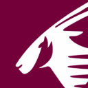 Discovery icon for Qatar Airways PTFS Discord server