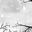 Discovery icon for ❄ /snowed · gws · active · vc Discord server