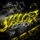 Discovery icon for VALOR | #3.0k Discord server