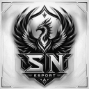 Discovery icon for SN Esport Discord server