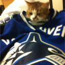 Discovery icon for Vancouver Canucks Discord server