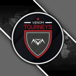 Discovery icon for VNM Tourney Discord server