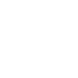 Discovery icon for Avenian Network Discord server